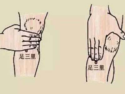 足三里穴