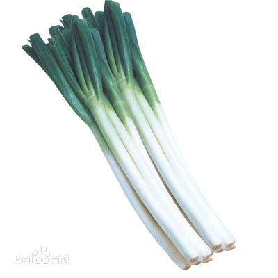 葱白