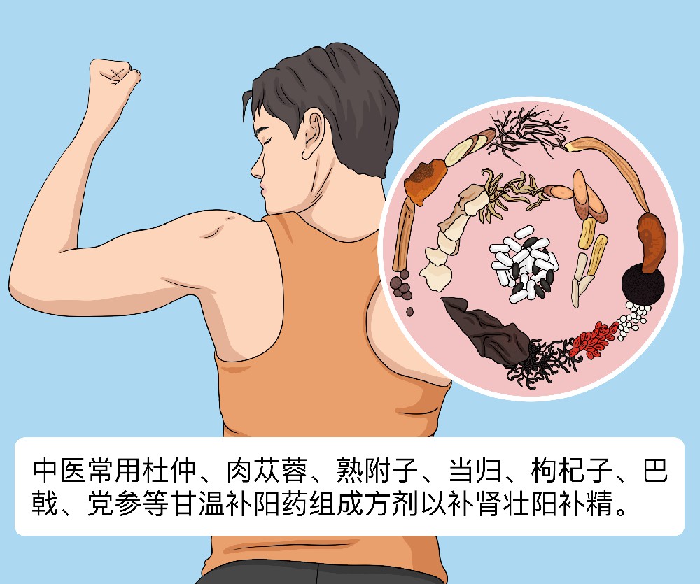 中药补肾壮阳补精配方.jpg