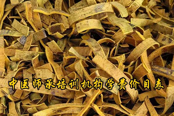 陕西中医师承培训班费用及报名条件