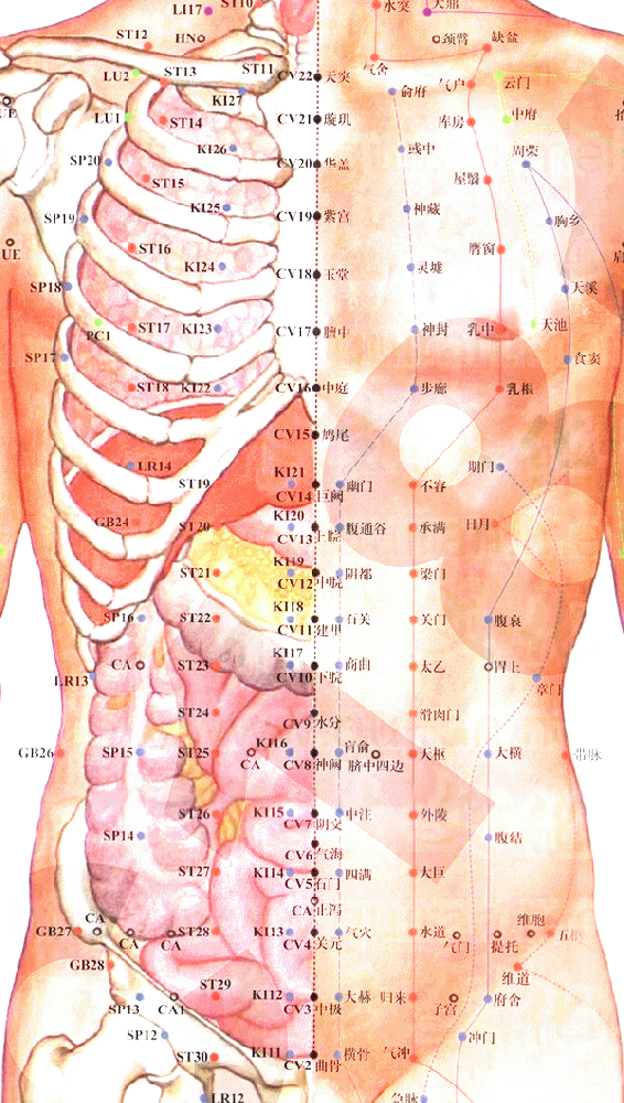 手太阴肺经-云门