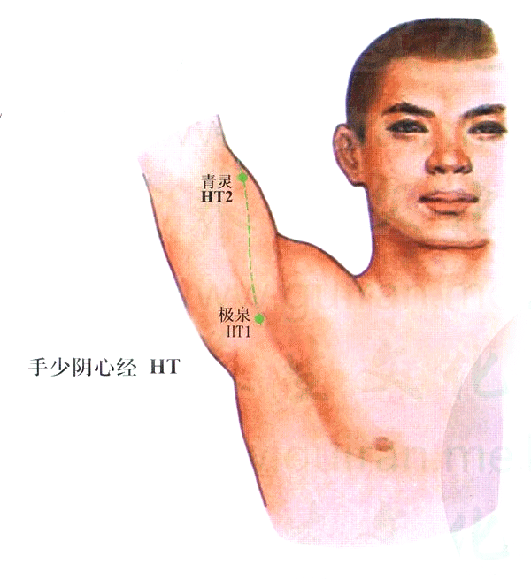 手少阴心经-极泉穴