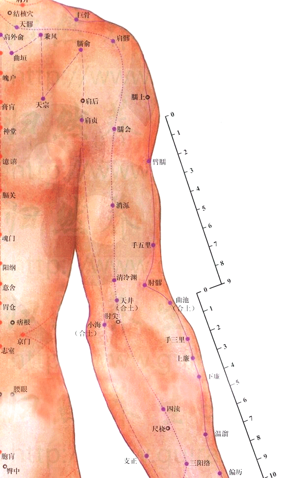 手少阳三焦经-清冷渊穴