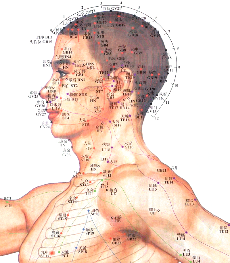 手少阳三焦经-肩髎穴