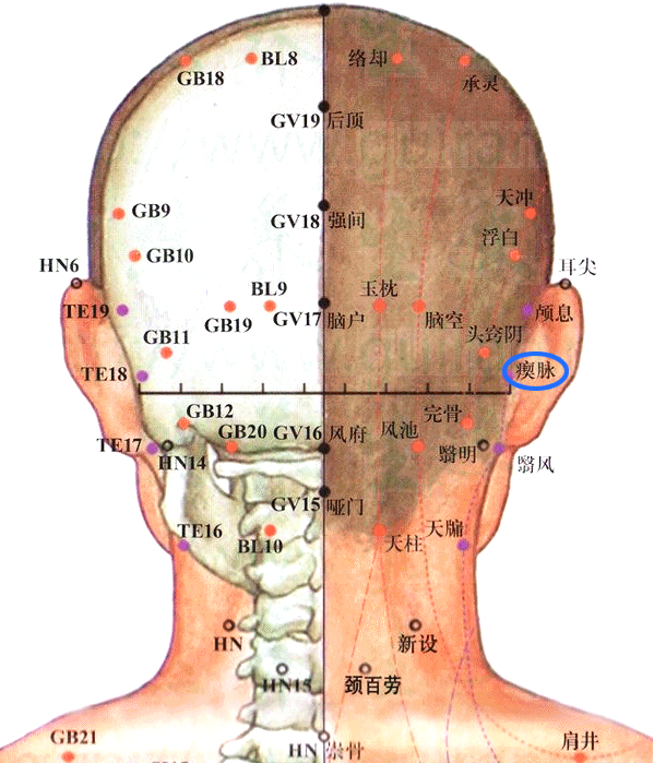 手少阳三焦经-瘛脉穴