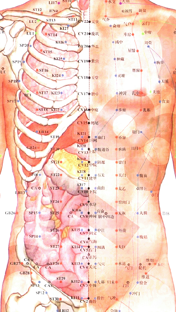 足太阴脾经-胸乡穴