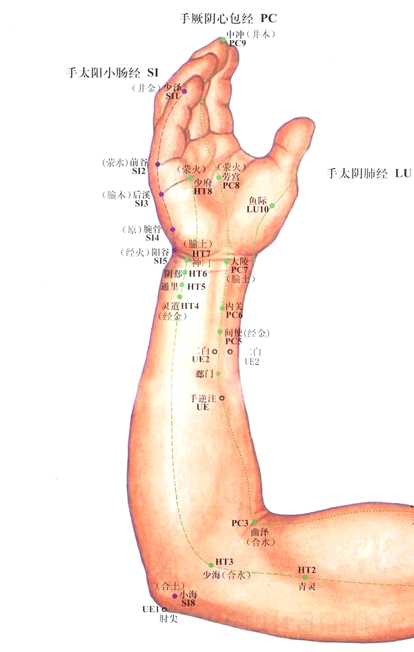 手太阳小肠经-阳谷穴
