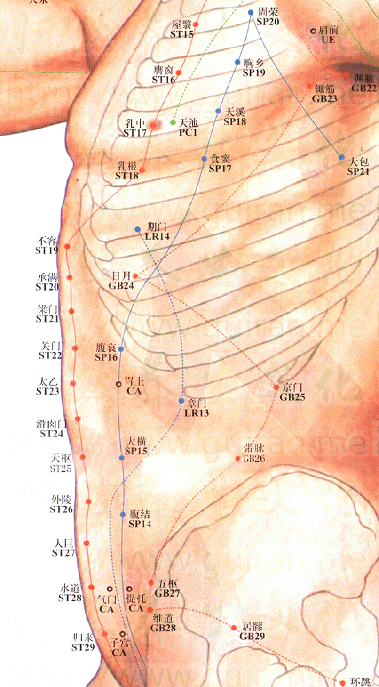 足少阳胆经-居髎穴